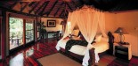 Bedroom Safari